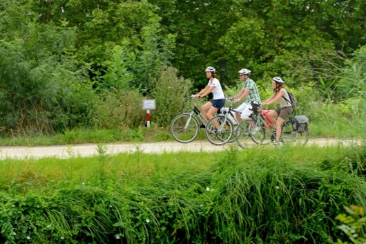 Balade le long du plan d'eau